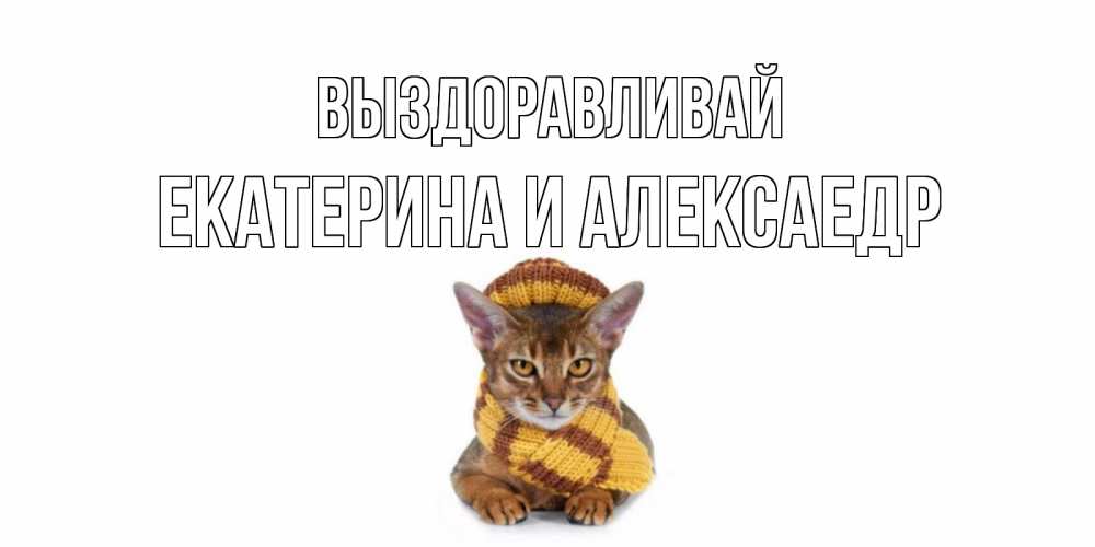 Открытка на каждый день с именем, Екатерина-и-Алексаедр Выздоравливай родные не болейте Прикольная открытка с пожеланием онлайн скачать бесплатно 