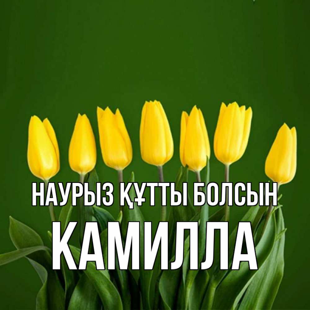 Открытка на каждый день с именем, Камилла Наурыз құтты болсын желтого цвета 3 Прикольная открытка с пожеланием онлайн скачать бесплатно 