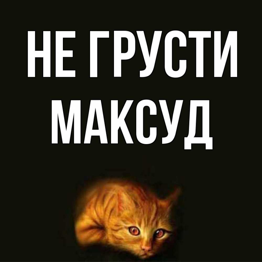 Открытка на каждый день с именем, Максуд Не грусти лежащий кот в темноте Прикольная открытка с пожеланием онлайн скачать бесплатно 
