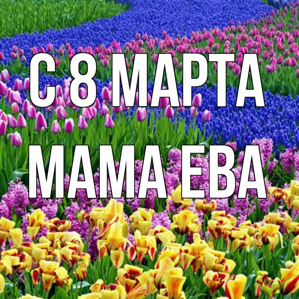 Открытка на каждый день с именем, Мама-Ева С 8 МАРТА цветы Прикольная открытка с пожеланием онлайн скачать бесплатно 