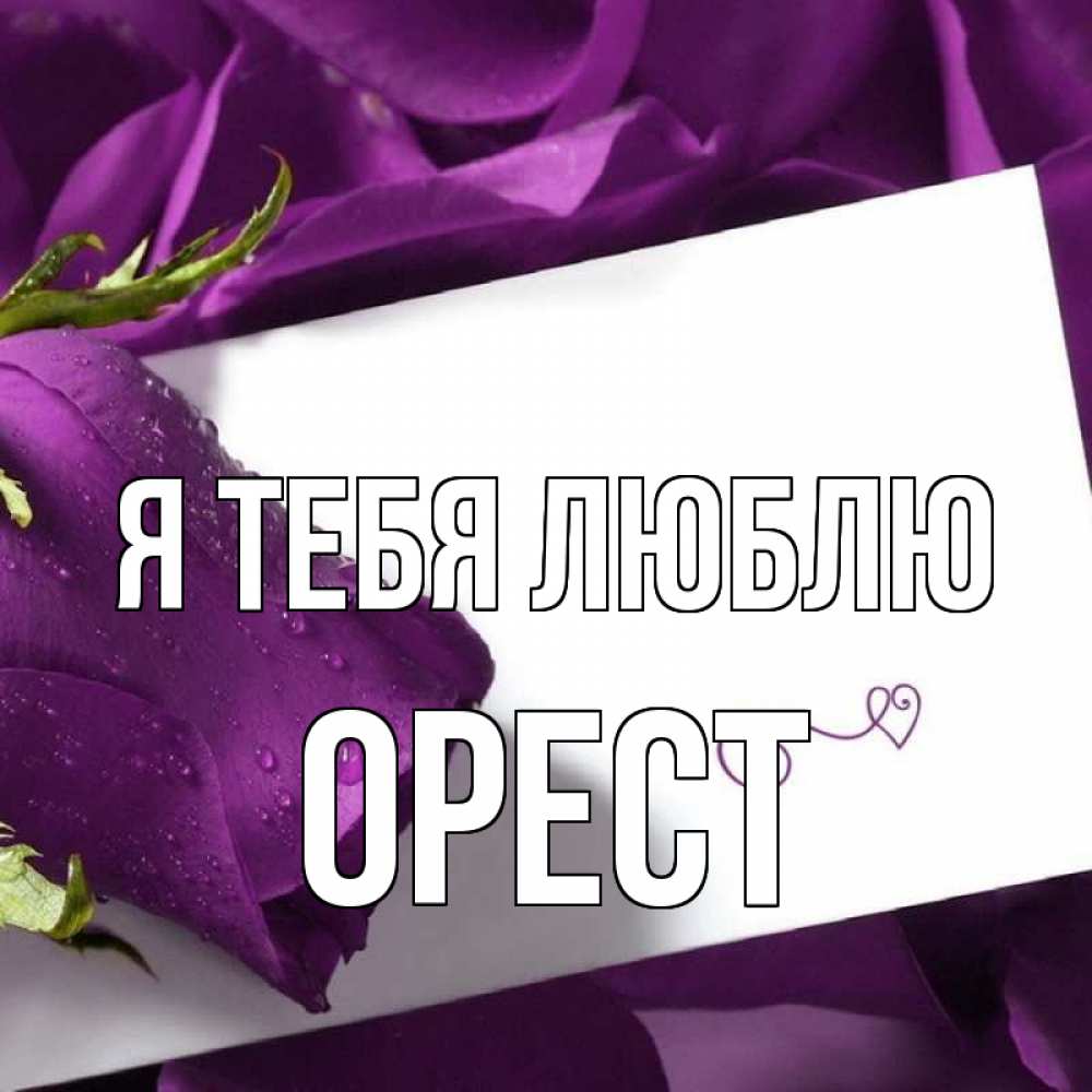 Открытка на каждый день с именем, Орест Я тебя люблю роза Прикольная открытка с пожеланием онлайн скачать бесплатно 