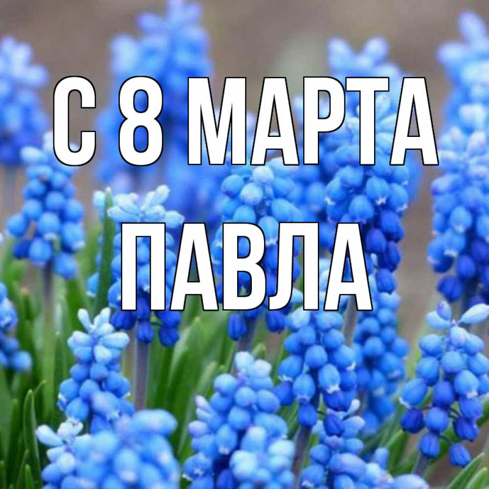 Открытка на каждый день с именем, Павла С 8 МАРТА Поздравительная открытка для женщин с цветами на праздничную дату Прикольная открытка с пожеланием онлайн скачать бесплатно 