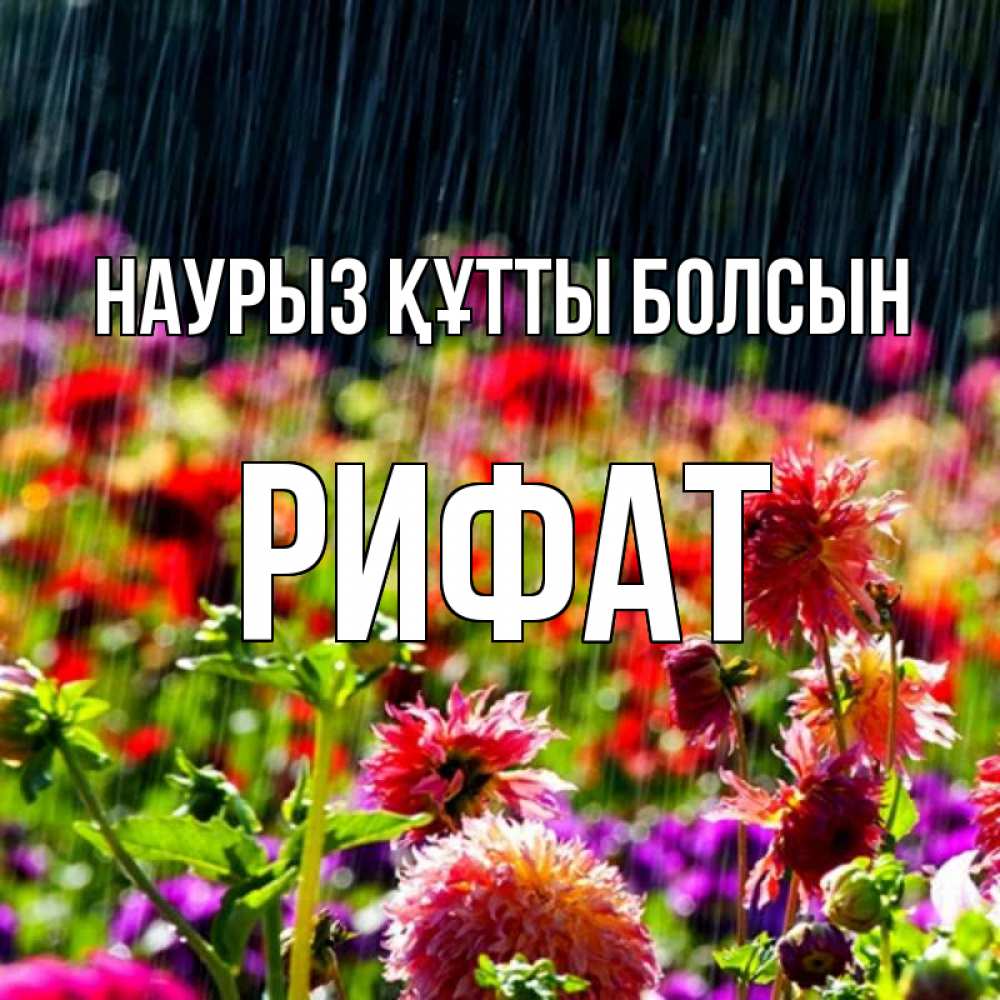 Открытка на каждый день с именем, Рифат Наурыз құтты болсын цветы под дождиком к наурызу Прикольная открытка с пожеланием онлайн скачать бесплатно 