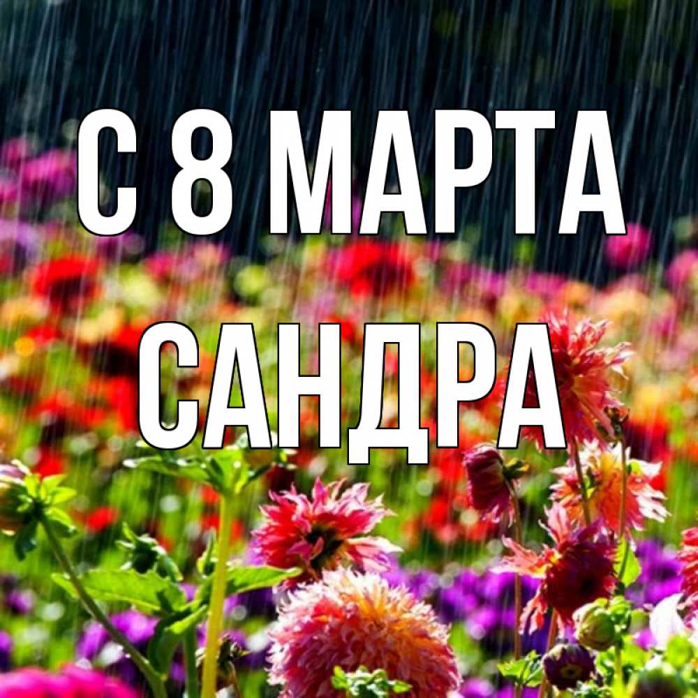 Открытка на каждый день с именем, Сандра С 8 МАРТА цветы под дождиком к международному женскому дню Прикольная открытка с пожеланием онлайн скачать бесплатно 