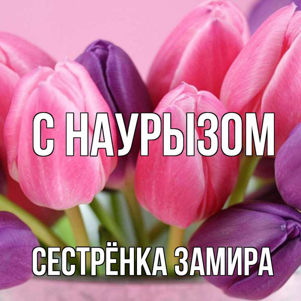 Открытка на каждый день с именем, Сестрёнка-Замира С наурызом маме 1 Прикольная открытка с пожеланием онлайн скачать бесплатно 