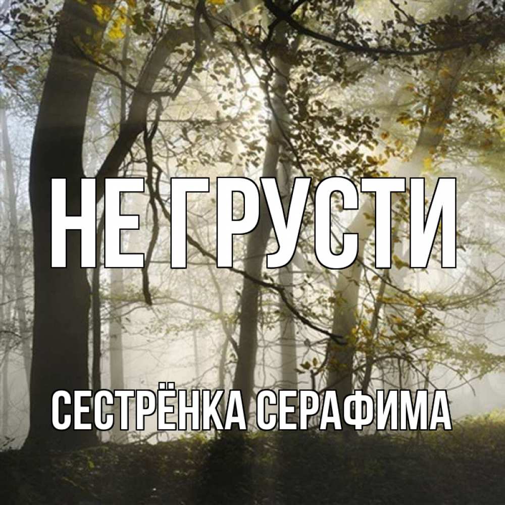 Открытка на каждый день с именем, Сестрёнка-Серафима Не грусти лес и свет Прикольная открытка с пожеланием онлайн скачать бесплатно 