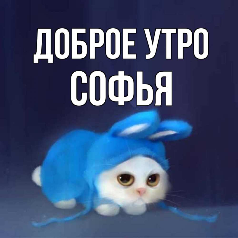 Открытка на каждый день с именем, Софья Доброе утро открытки красивые скачать бесплатно Прикольная открытка с пожеланием онлайн скачать бесплатно 