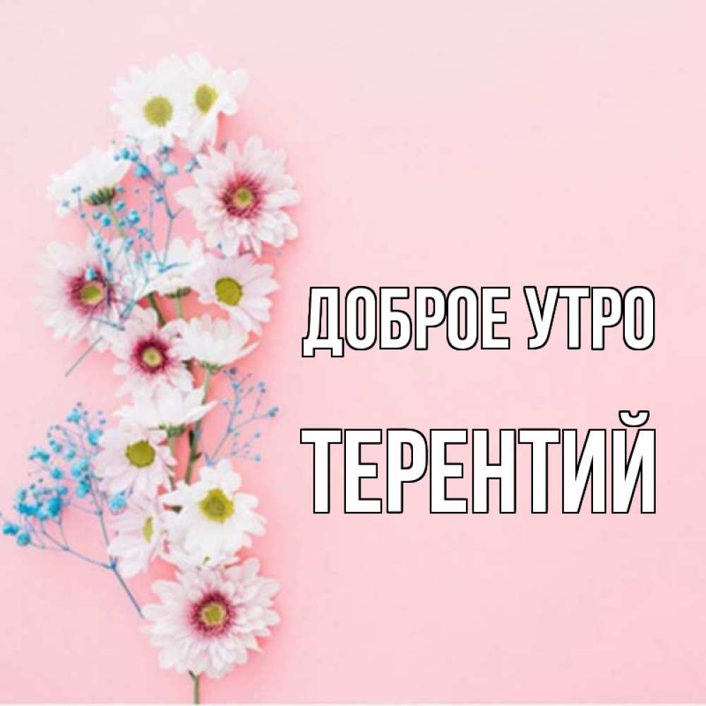 Открытка на каждый день с именем, Терентий Доброе утро цветы с подписью Прикольная открытка с пожеланием онлайн скачать бесплатно 