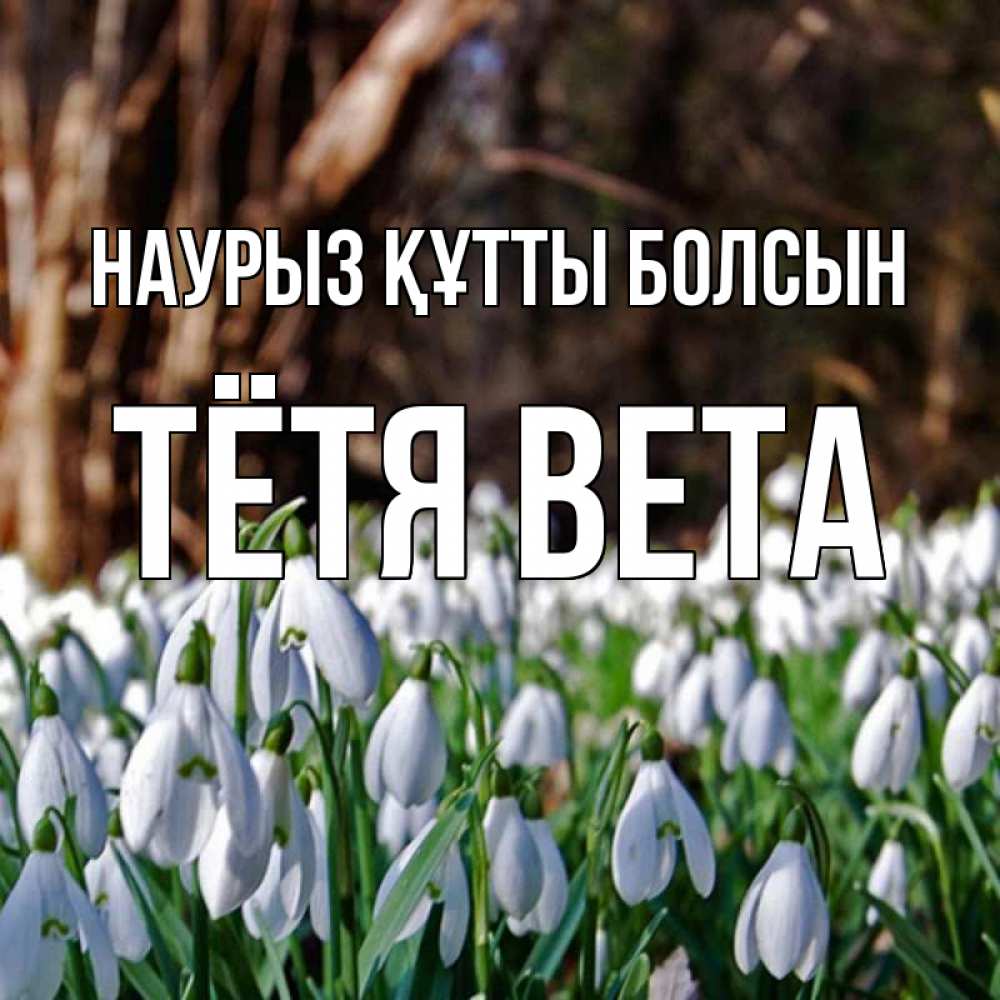 Открытка на каждый день с именем, Тётя-Вета Наурыз құтты болсын с подснежниками 1 Прикольная открытка с пожеланием онлайн скачать бесплатно 