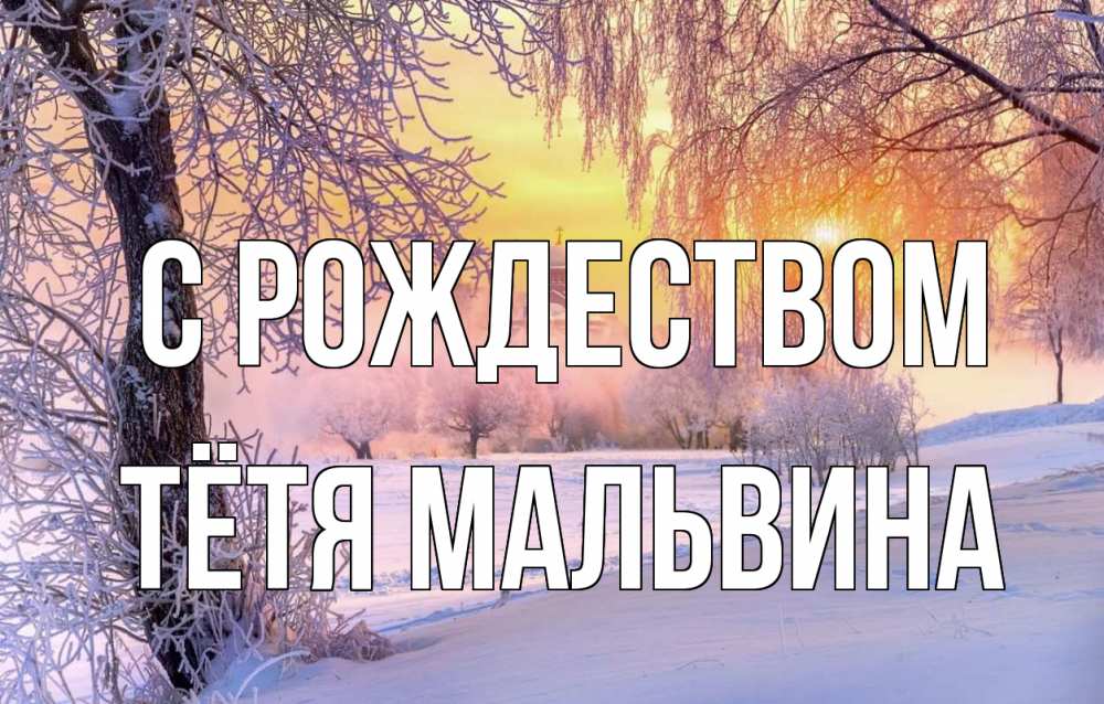 Открытка на каждый день с именем, Тётя-Мальвина С рождеством рождество, лес, зима 1 Прикольная открытка с пожеланием онлайн скачать бесплатно 