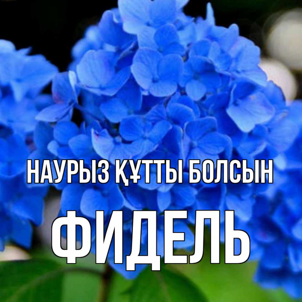 Открытка на каждый день с именем, Фидель Наурыз құтты болсын синие цветы Прикольная открытка с пожеланием онлайн скачать бесплатно 