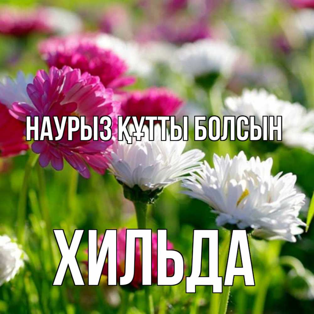 Открытка на каждый день с именем, Хильда Наурыз құтты болсын наурыз Прикольная открытка с пожеланием онлайн скачать бесплатно 