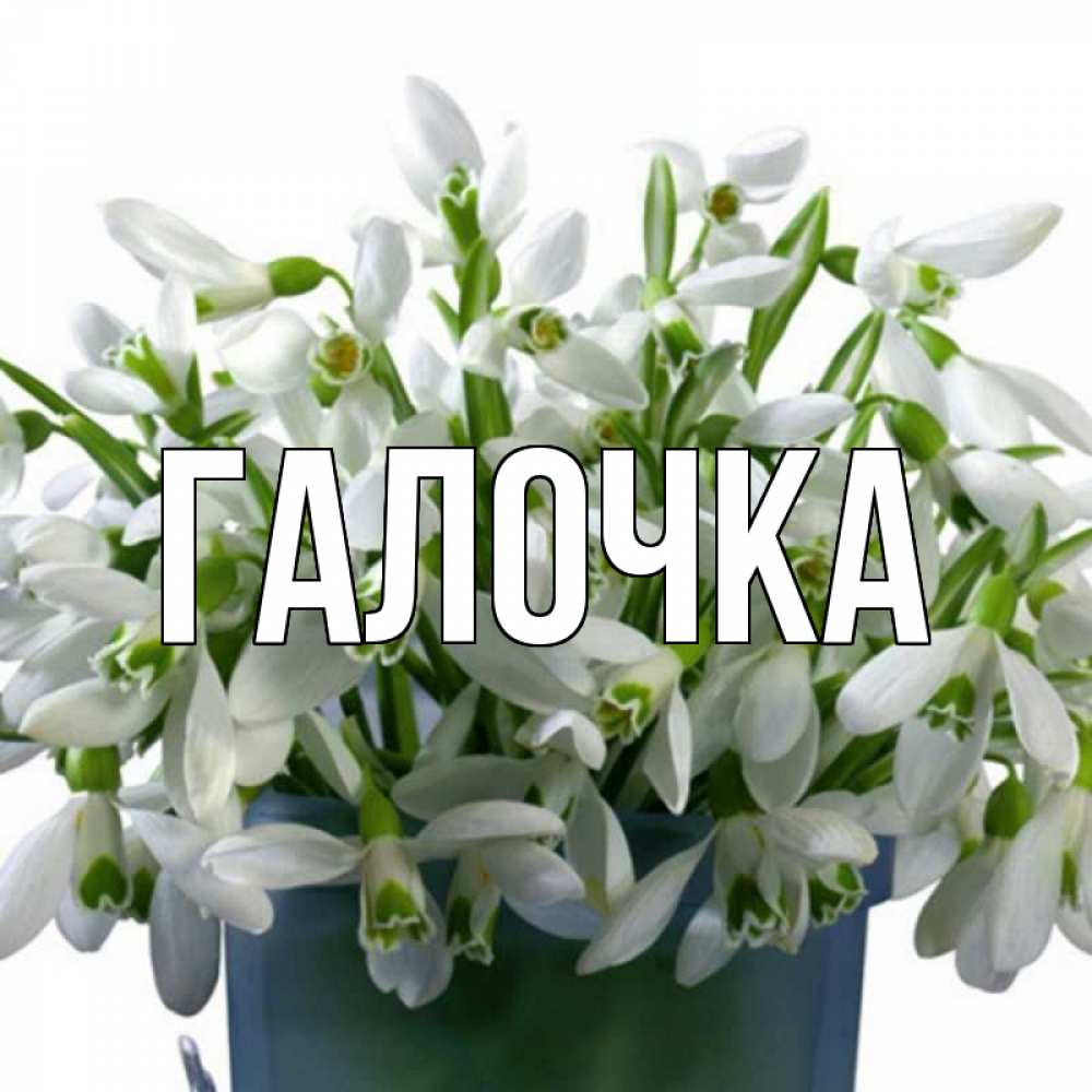 Открытка на каждый день с именем, Галочка Главная цветы к международному женскому дню Прикольная открытка с пожеланием онлайн скачать бесплатно 