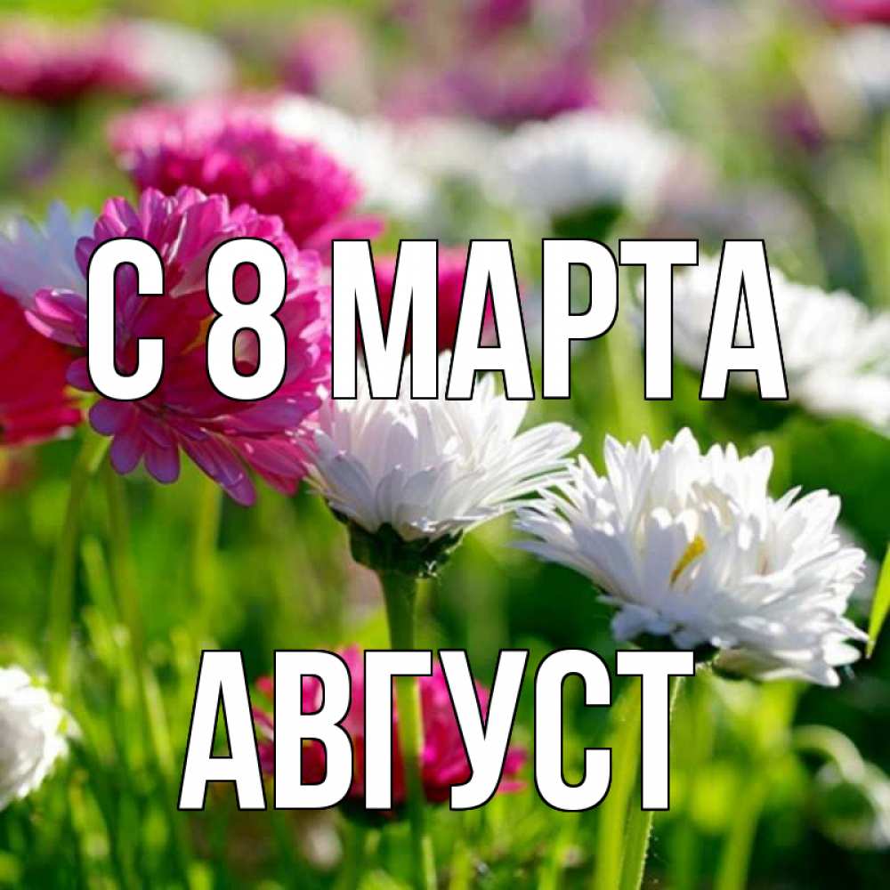 Открытка на каждый день с именем, Август С 8 МАРТА международный женский день 1 Прикольная открытка с пожеланием онлайн скачать бесплатно 