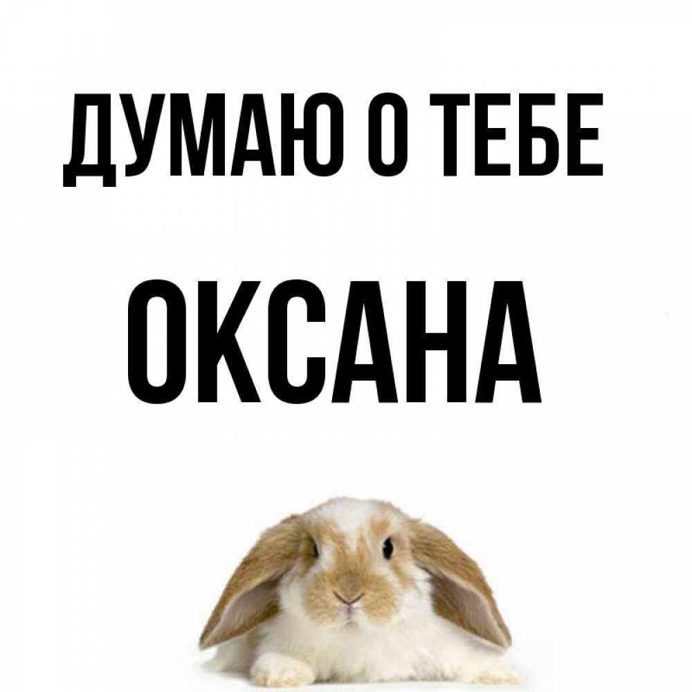Веселые картинки про оксану
