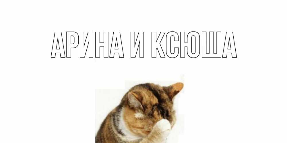 Открытка на каждый день с именем, Арина-и-Ксюша Главная кот Прикольная открытка с пожеланием онлайн скачать бесплатно 