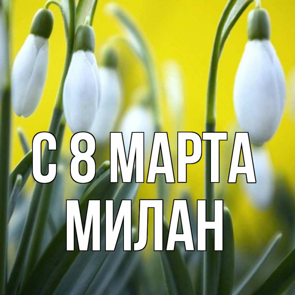 Открытка на каждый день с именем, Милан С 8 марта весенние цветы Прикольная открытка с пожеланием онлайн скачать бесплатно 