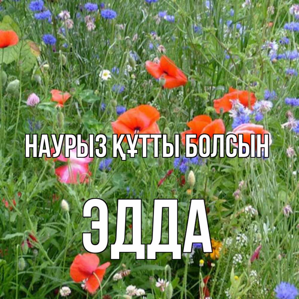 Открытка на каждый день с именем, Эдда Наурыз құтты болсын наурыз  4 Прикольная открытка с пожеланием онлайн скачать бесплатно 