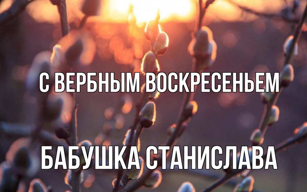 Открытка на каждый день с именем, Бабушка-Станислава С вербным воскресеньем верба Прикольная открытка с пожеланием онлайн скачать бесплатно 