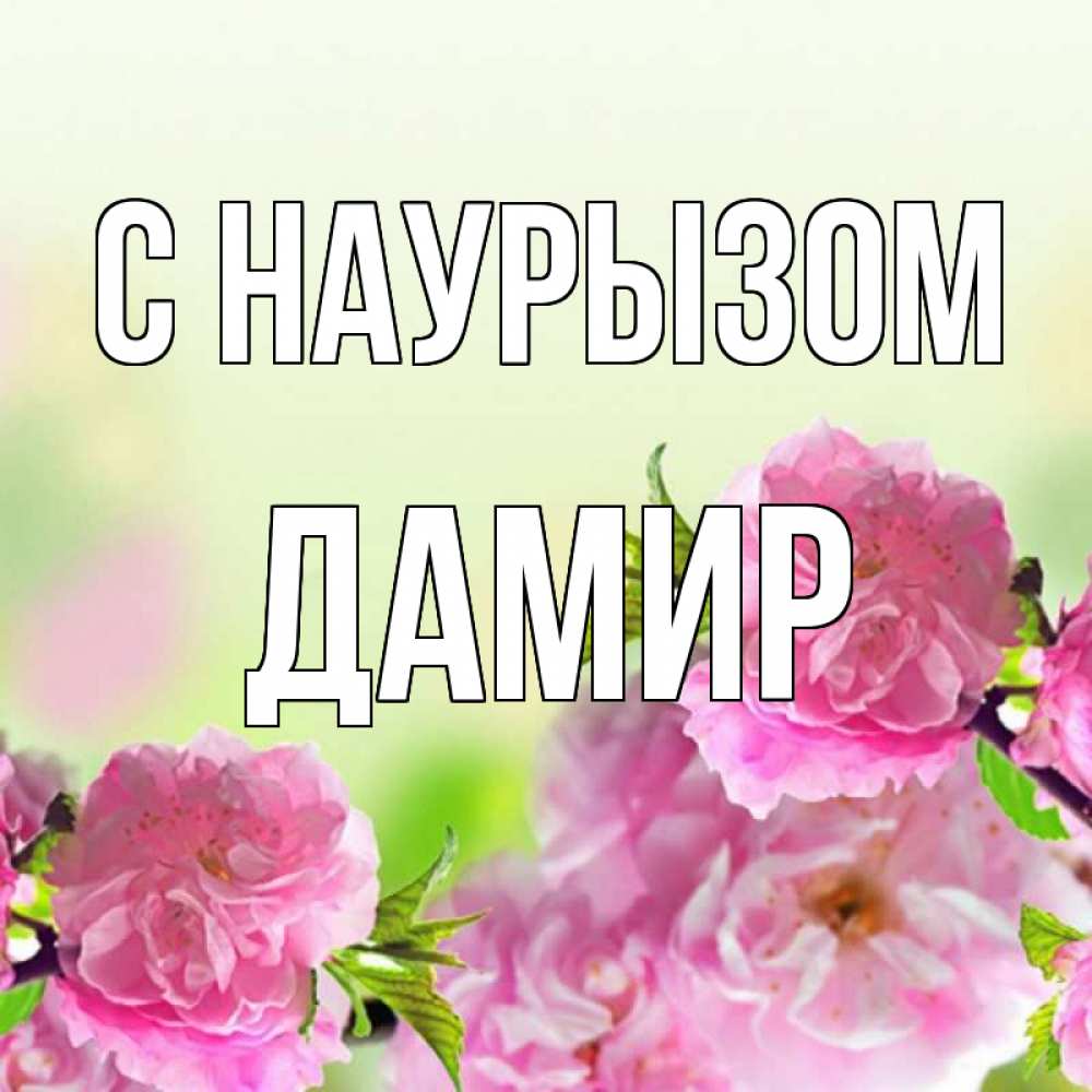 Открытка на каждый день с именем, Дамир С наурызом цветы Прикольная открытка с пожеланием онлайн скачать бесплатно 