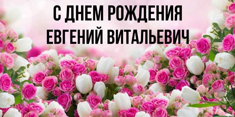 Открытка на каждый день с именем, Евгений-Витальевич С днем рождения открытка с разными розами Прикольная открытка с пожеланием онлайн скачать бесплатно 