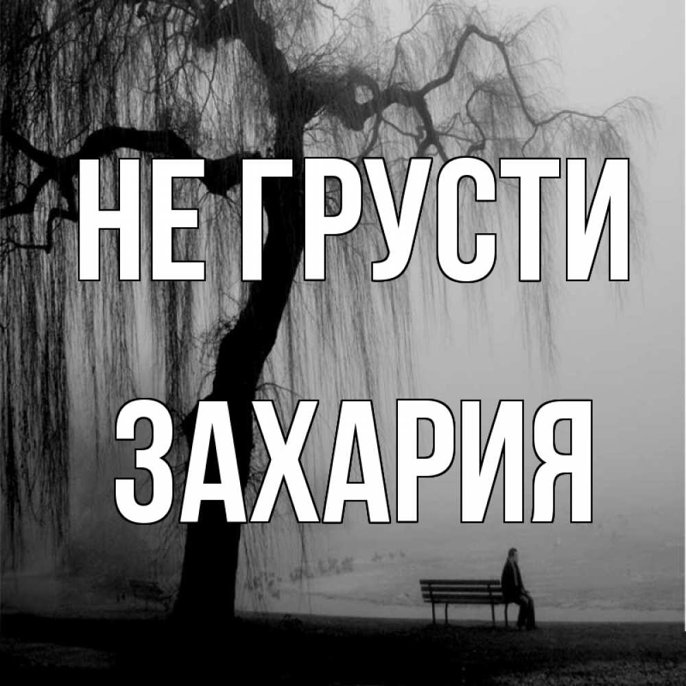 Открытка на каждый день с именем, Захария Не грусти висящие ветки дерева и лавочка под деревом Прикольная открытка с пожеланием онлайн скачать бесплатно 
