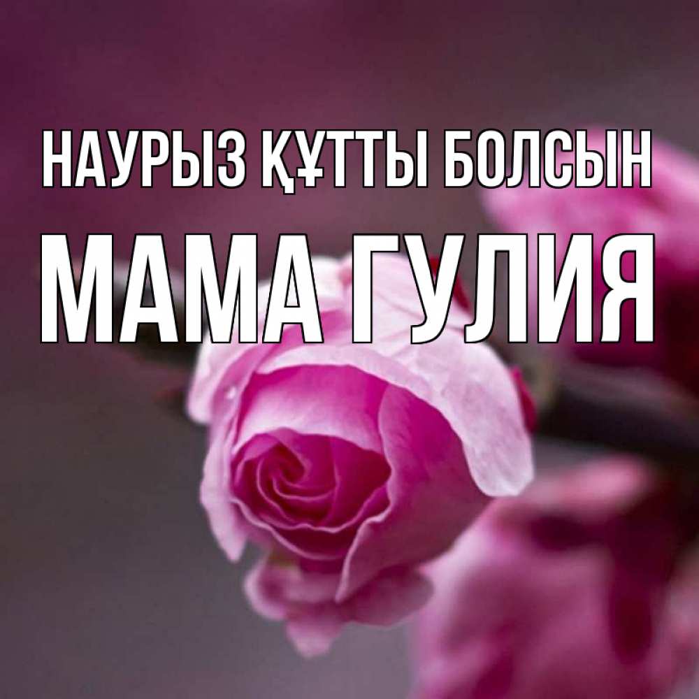 Открытка на каждый день с именем, Мама-Гулия Наурыз құтты болсын весна Прикольная открытка с пожеланием онлайн скачать бесплатно 