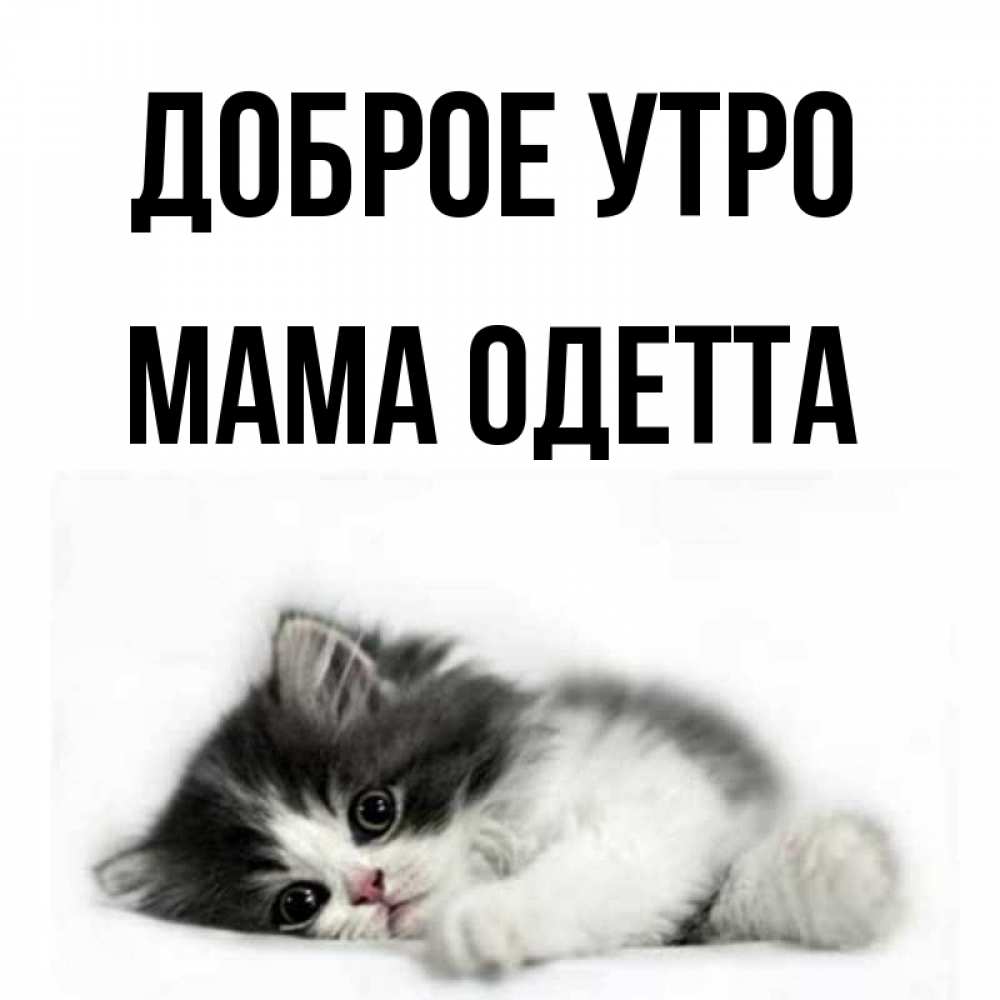 Открытка на каждый день с именем, Мама-Одетта Доброе утро кот лапки Прикольная открытка с пожеланием онлайн скачать бесплатно 