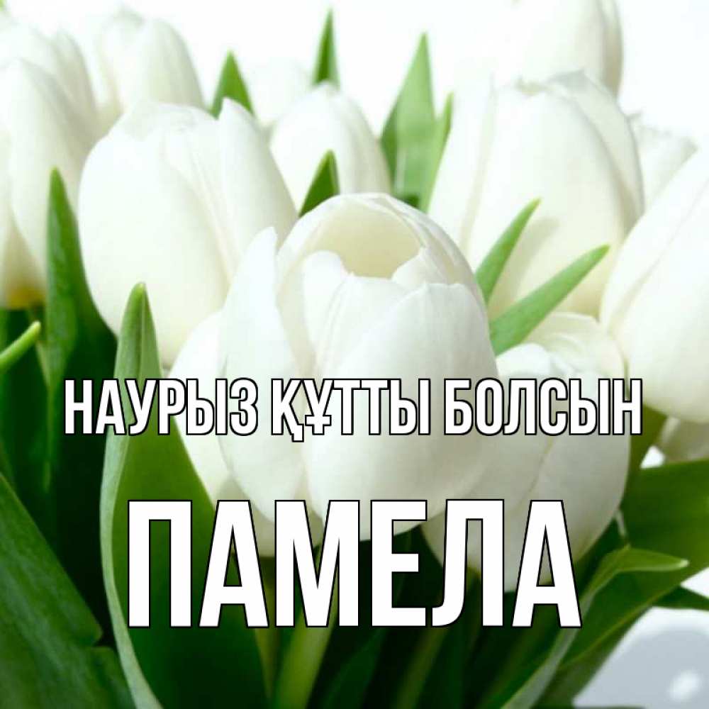 Открытка на каждый день с именем, Памела Наурыз құтты болсын цветы Прикольная открытка с пожеланием онлайн скачать бесплатно 