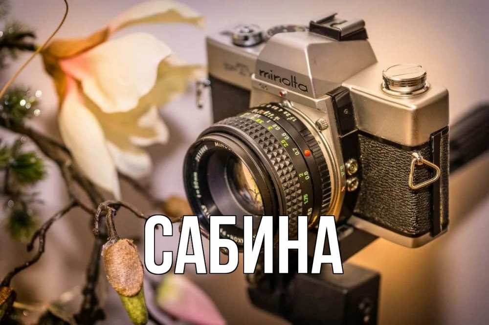 Открытка на каждый день с именем, Сабина Главная с днем фотографа 1 Прикольная открытка с пожеланием онлайн скачать бесплатно 