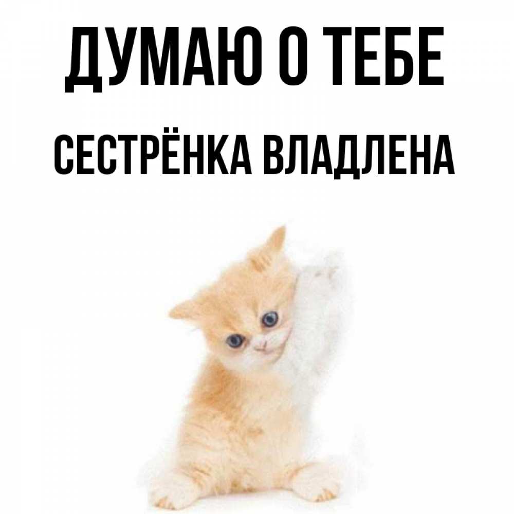 Открытка на каждый день с именем, Сестрёнка-Владлена Думаю о тебе зверушки и милота Прикольная открытка с пожеланием онлайн скачать бесплатно 