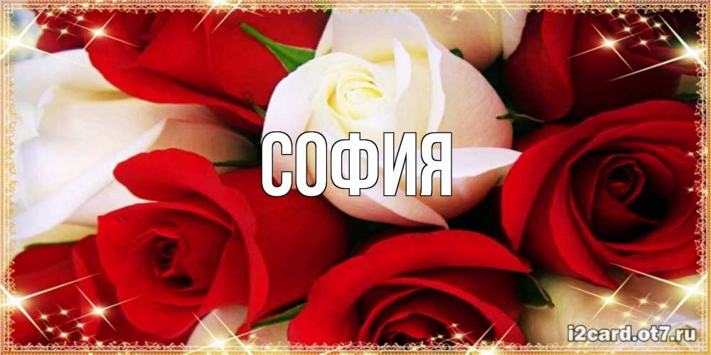Открытка на каждый день с именем, София Главная открытка на день рождения с белыми и красными розами Прикольная открытка с пожеланием онлайн скачать бесплатно 