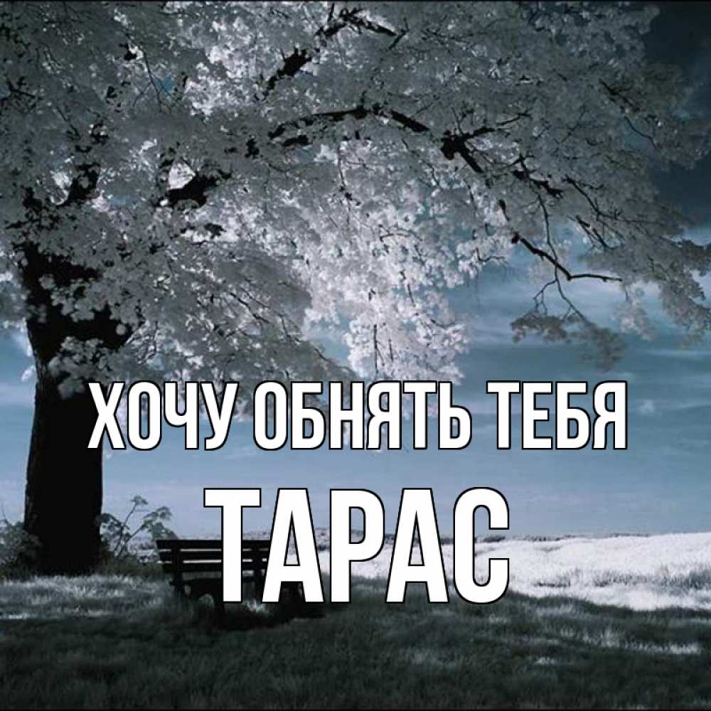 Открытка на каждый день с именем, Тарас Хочу обнять тебя дерево Прикольная открытка с пожеланием онлайн скачать бесплатно 