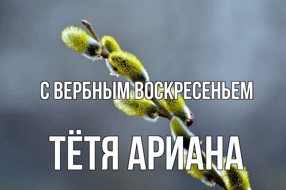 Открытка на каждый день с именем, Тётя-Ариана С вербным воскресеньем верба Прикольная открытка с пожеланием онлайн скачать бесплатно 