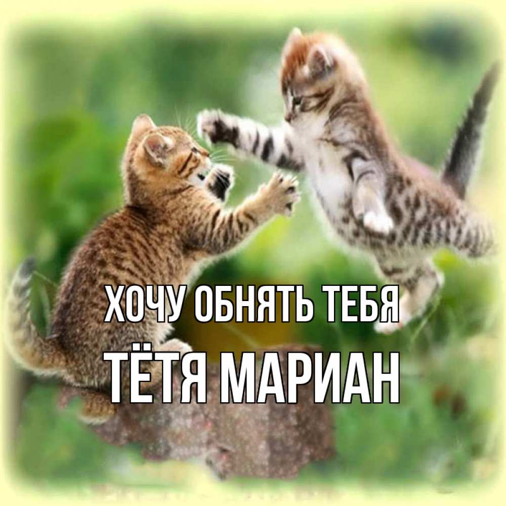 Открытка на каждый день с именем, Тётя-Мариан Хочу обнять тебя игры котят Прикольная открытка с пожеланием онлайн скачать бесплатно 