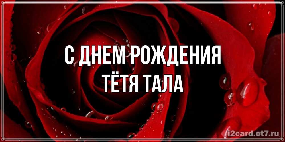 Открытка на каждый день с именем, Тётя-Тала С днем рождения крупная бордовая роза Прикольная открытка с пожеланием онлайн скачать бесплатно 
