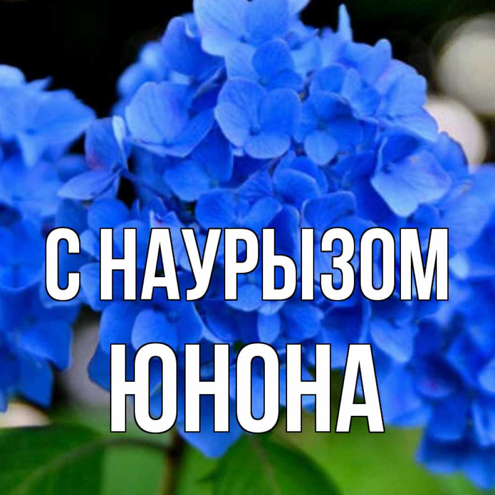 Открытка на каждый день с именем, Юнона С наурызом синие цветы Прикольная открытка с пожеланием онлайн скачать бесплатно 
