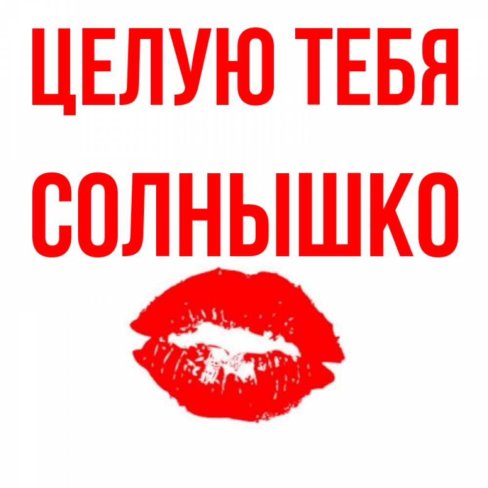 Бумага, открытки целую тебя солнышко