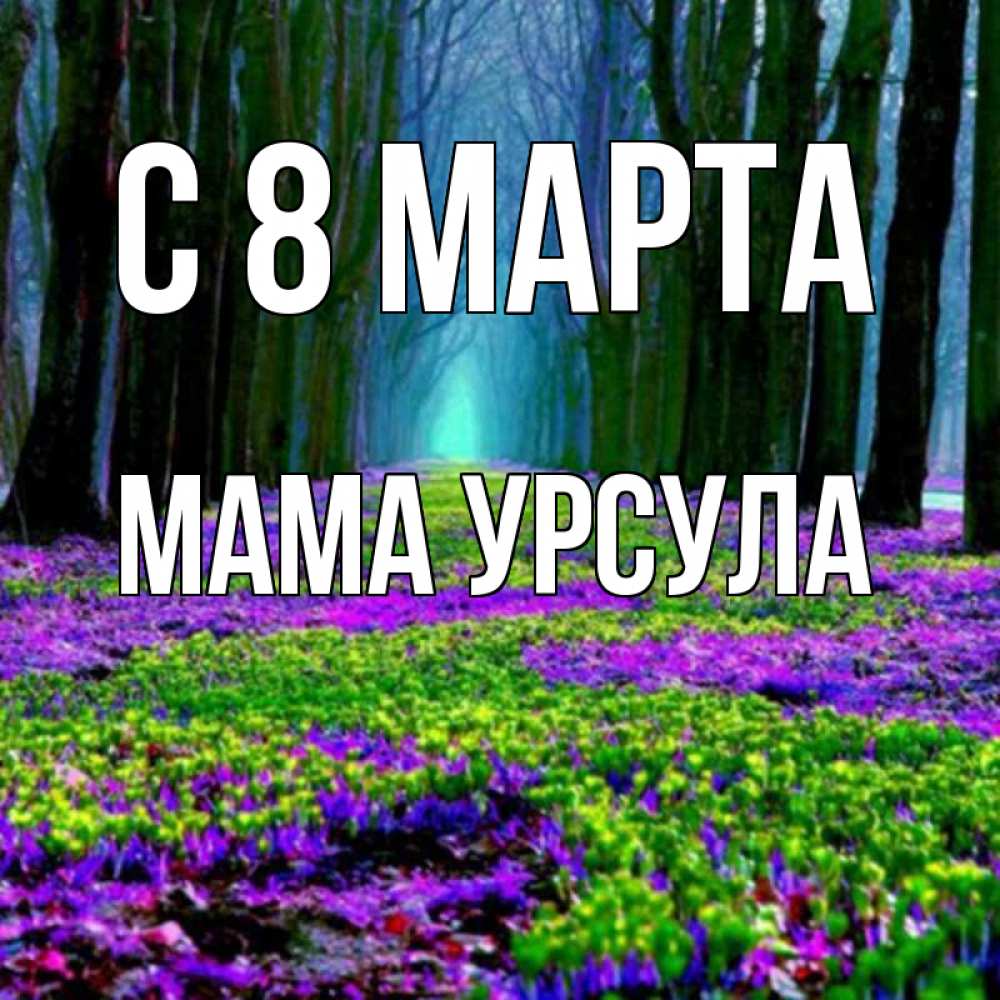 Открытка на каждый день с именем, Мама-Урсула С 8 марта фиолетовые цветы в лесу 1 Прикольная открытка с пожеланием онлайн скачать бесплатно 