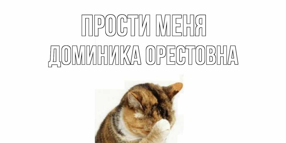 Открытка на каждый день с именем, Доминика-Орестовна Прости меня кот Прикольная открытка с пожеланием онлайн скачать бесплатно 