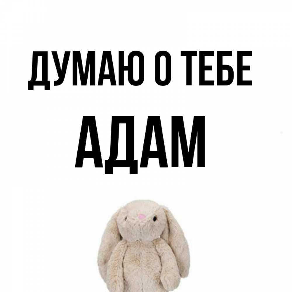 Adam о тебе малая