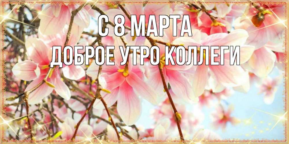 Открытка на каждый день с именем, Доброе-утро-Коллеги С 8 марта цветы деревьев на 8 марта Прикольная открытка с пожеланием онлайн скачать бесплатно 