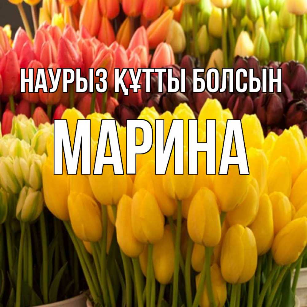 Открытка на каждый день с именем, Марина Наурыз құтты болсын цветы Прикольная открытка с пожеланием онлайн скачать бесплатно 