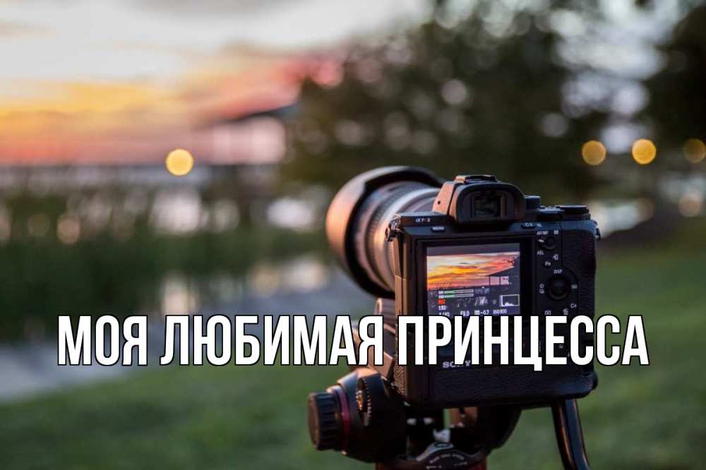 Открытка на каждый день с именем, Моя-Любимая-Принцесса Главная с днем фотографа Прикольная открытка с пожеланием онлайн скачать бесплатно 