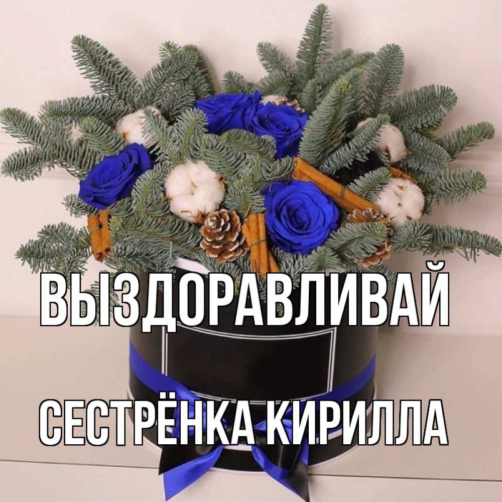 Открытка на каждый день с именем, Сестрёнка-Кирилла Выздоравливай короче кто то загрузил эти шишки Прикольная открытка с пожеланием онлайн скачать бесплатно 