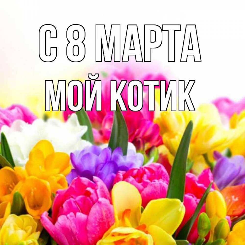 Открытка на каждый день с именем, мой-Котик С 8 МАРТА тюльпаны Прикольная открытка с пожеланием онлайн скачать бесплатно 