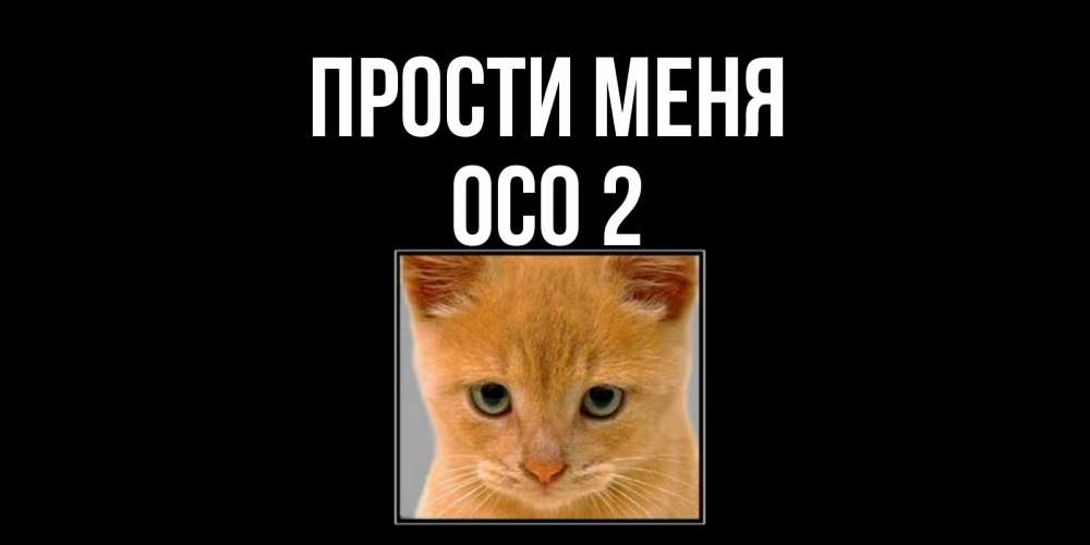 Прощения 2