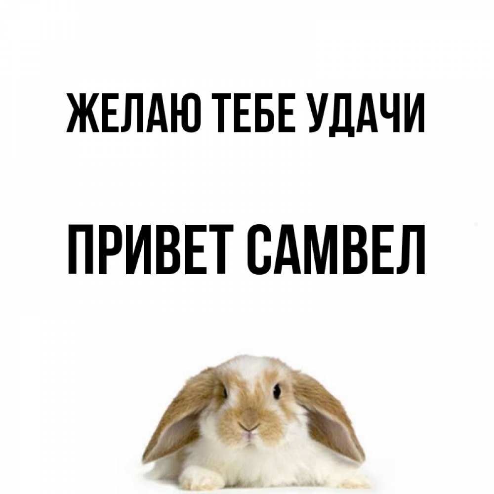 Привет всем удачи. Привет всем удачи