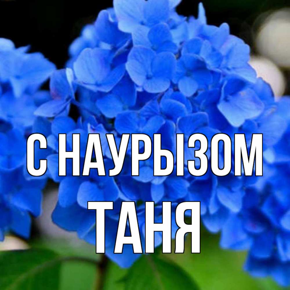 Открытка на каждый день с именем, Таня С наурызом синие цветы Прикольная открытка с пожеланием онлайн скачать бесплатно 