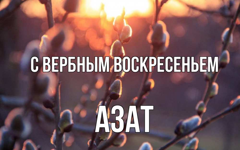 Открытка на каждый день с именем, Азат С вербным воскресеньем верба Прикольная открытка с пожеланием онлайн скачать бесплатно 